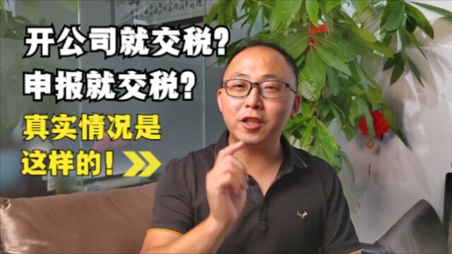 开公司就交税?申报就交税?真实情况是这样的