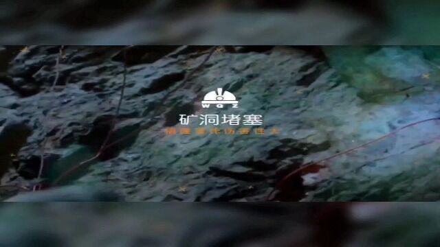 独树一帜可应用于矿山搜救的仿生六足机器人视频介绍1 (1)