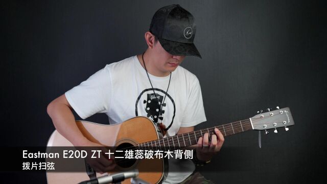 Eastman E20D ZT (ziricote,十二雄蕊破布木)吉他