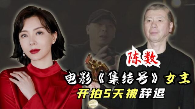 冯小刚邀请陈数出演《集结号》女主,开拍5天被辞退,究竟为何?