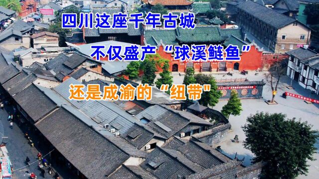 四川这座千年古城不仅盛产“球溪鲢鱼”还是成渝的“纽带\