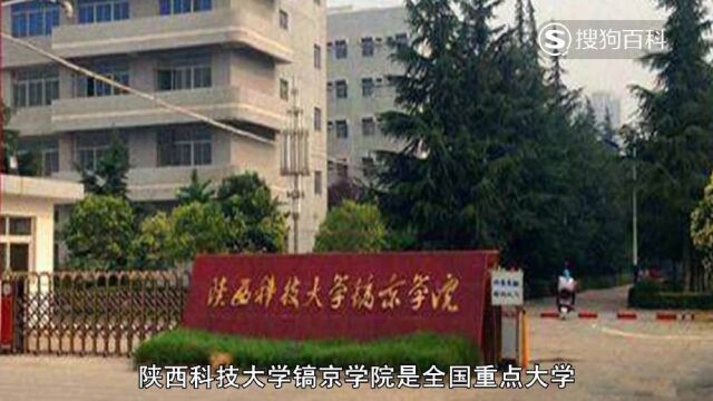 立懂百科带你了解陕西科技大学镐京学院