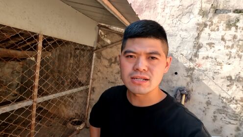 三马道出实情姚三马v2022-07-25 15:00:00分享008:59四姐跟法国老公