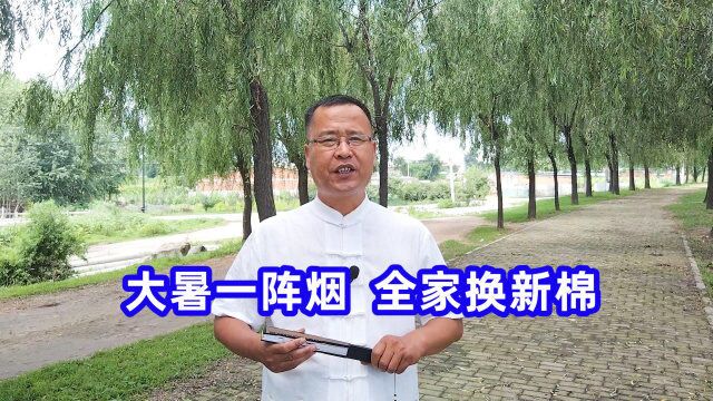 俗语“大暑一阵烟,全家换新棉”,啥意思?下半年有啥预兆?