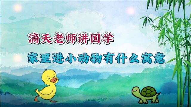 家居进小动物有什么寓意