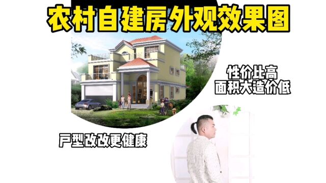 农村自建房外观效果图,户型改改更健康,性价比高面积大造价低