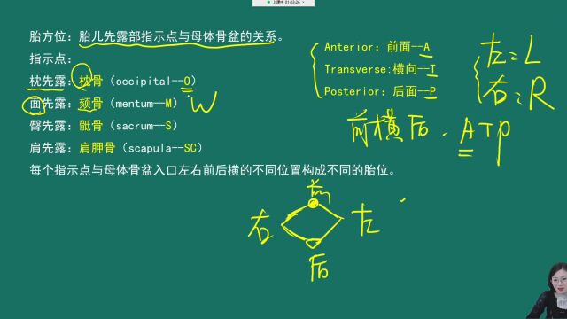 执业医师:胎方位考前提分必刷题!冲刺押题2000题上线了!