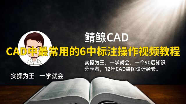 CAD中最常用的6中标注操作视频教程