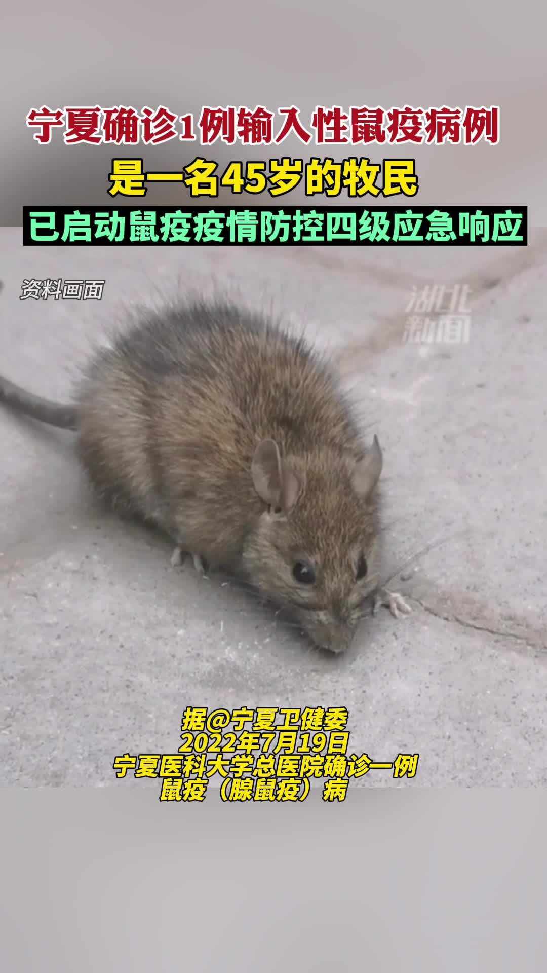 宁夏确诊1例鼠疫病例:患者自内蒙古返回银川,系牧民