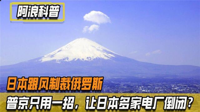 日本引火上身,普大帝回以强硬手段,使日本14家电力公司倒闭!