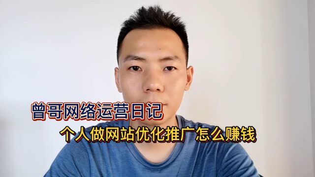 个人做网站优化推广怎么赚钱