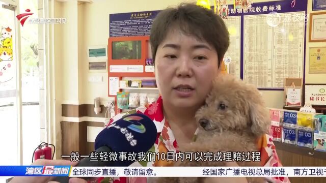 佛山超6万宠物犬领牌 智慧养犬服务平台上线