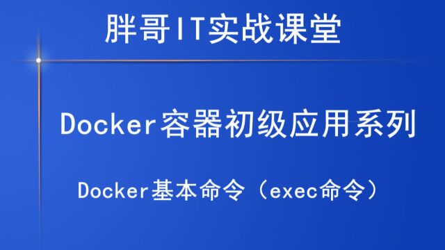 Docker基本命令(exec命令)上2