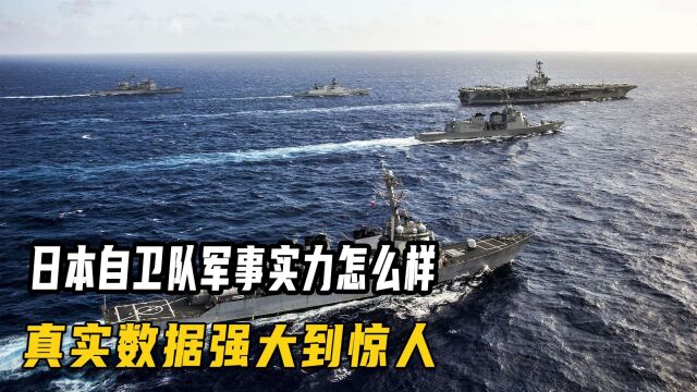 日本自卫队实力怎么样?最新大盘点,军事实力夸张到你接受不了