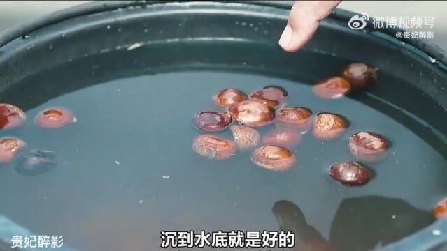 糖炒栗子首富的创业故事