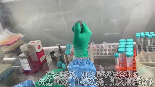 细胞实验操作分享