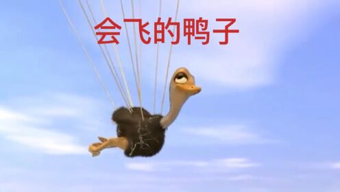 不甘平凡的小鸭子有着一个飞翔的梦，并为之付出努力，终于翱翔在蓝天白云中！