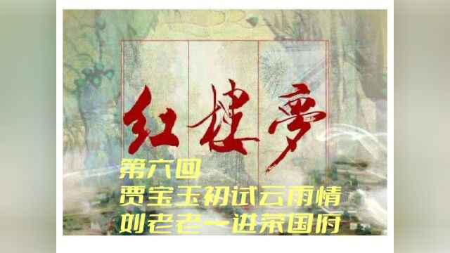 逐字逐句精读精讲古典名著红楼梦第六回