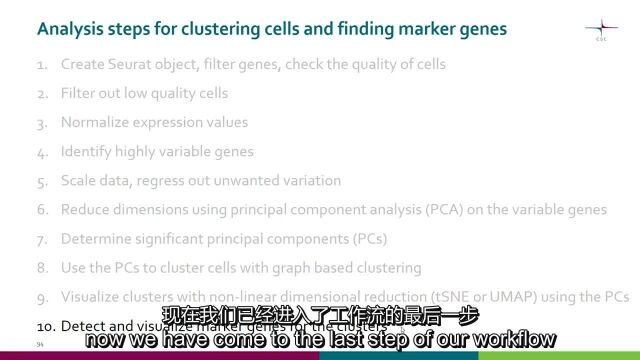 9 scRNAseq:检测簇标记基因