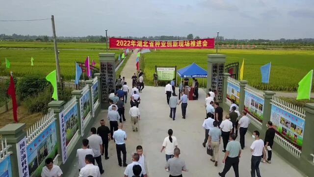 助力良种推广 湖北新增29个国家和省级农作物展示评价基地