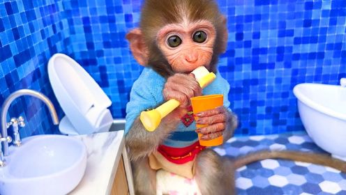 小猴子学会了自己刷牙洗脸，真是一个乖孩子！