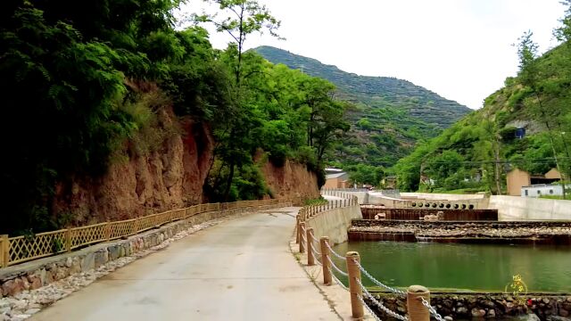 视频 | 一路饱览陇原农村风光⑨