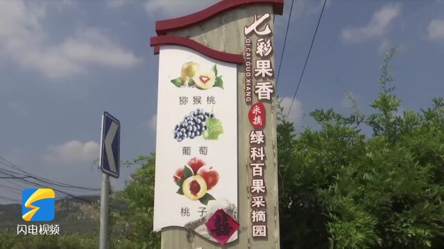 日照高兴镇图片