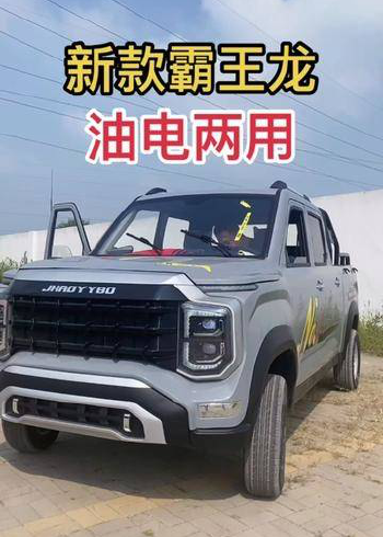 新款霸王龙双排皮卡油电两用