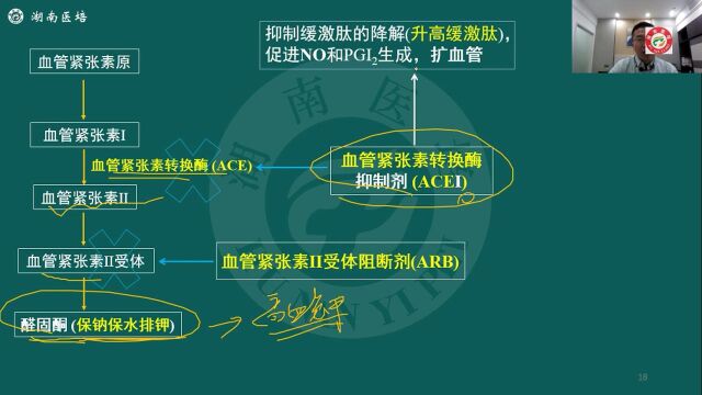 湖南医培2022年临床考前大送分三理一化押题直播邓欢老师