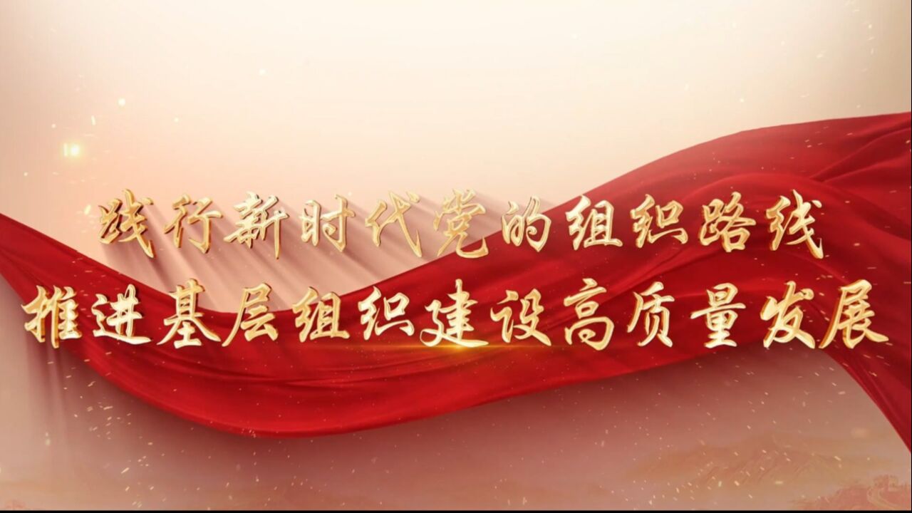 践行新时代党的组织路线推进基层组织建设高质量发展_高清1080P在线观看平台_腾讯视频