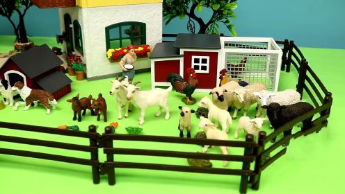 动物玩具系列：农场世界透视图