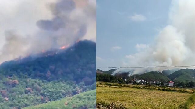 江西吉安青原山突发山火,当地:明火已扑灭 警方介入调查