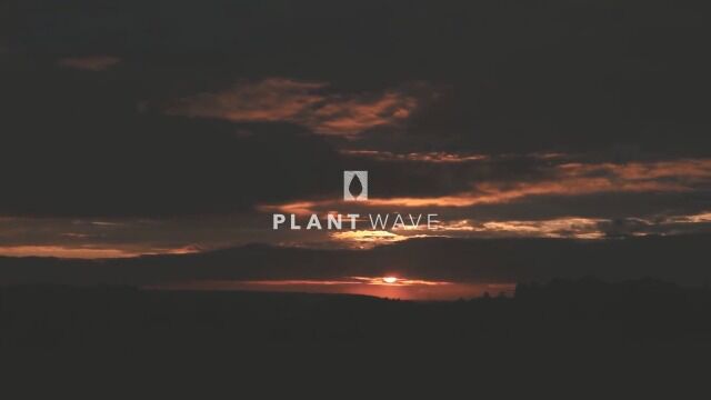 Introducing PlantWave