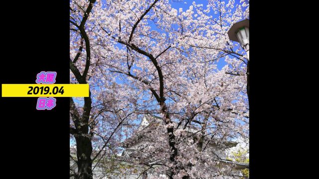 旅游篇:日本大阪(2019.04)