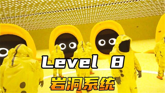 Level 8 岩洞系统