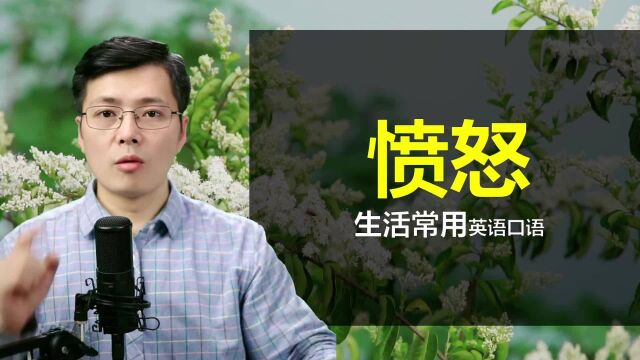 如何用英语口语来表达情感?从愤怒开始,一口气学8句