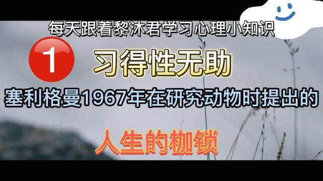 黎沐君心理小知识之习得性无助