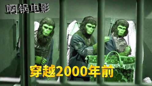 人猿穿越至2000年前，被专家判定为害人妖怪，从此过上逃亡生涯