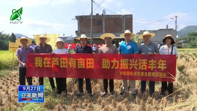 安溪新闻 20220927【保障粮食安全】芦田镇:认领稻田迎丰收 乡村振兴好“粮”景