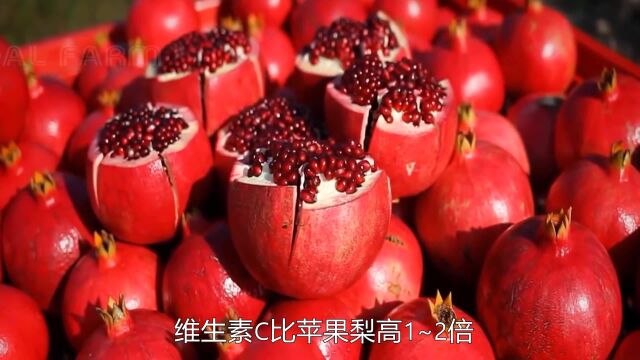 《食物百科》石榴是如何种植加工的?