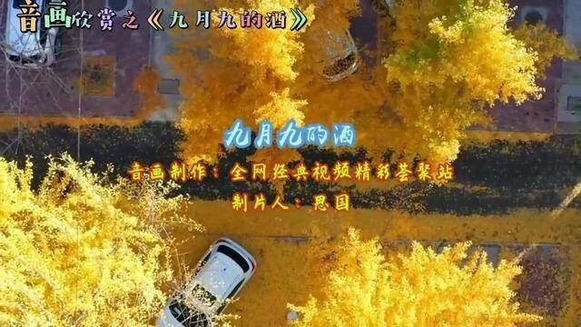 音画欣赏之《九月九的酒》