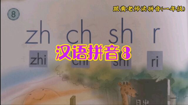 小学语文一年级拼音拼读识记《第八课 》#读拼音