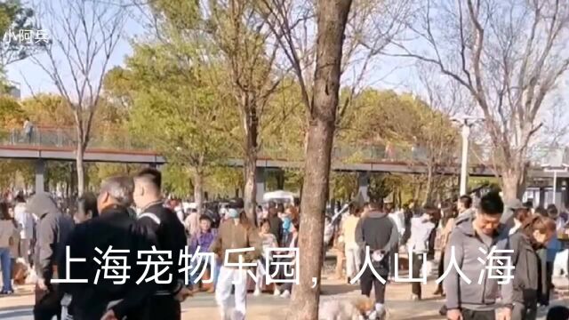 上海宠物乐园,人山人海