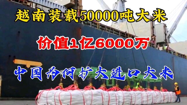 越南装载50000吨大米回国,价值1亿6000万,中国为何扩大进口大米?