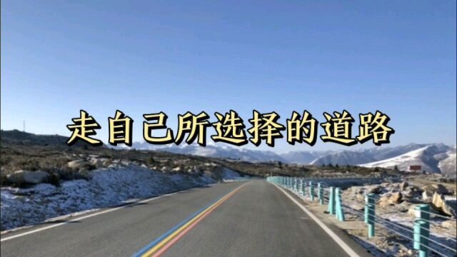 走自己所选择的道路