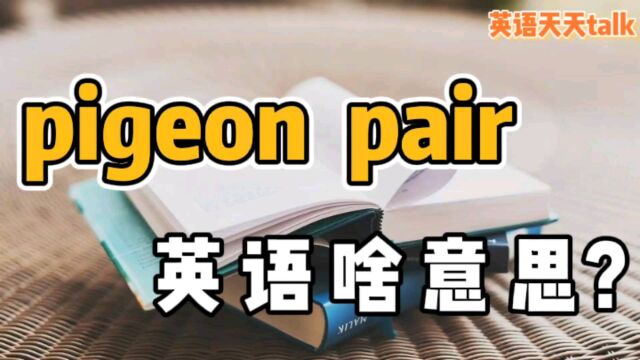 pigeon是“鸽子”, pair是“一对”,英语pigeon pair什么意思?