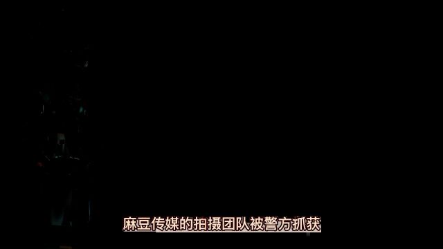 麻豆传媒拍摄团队被警方抓获,会面临怎样的后果?