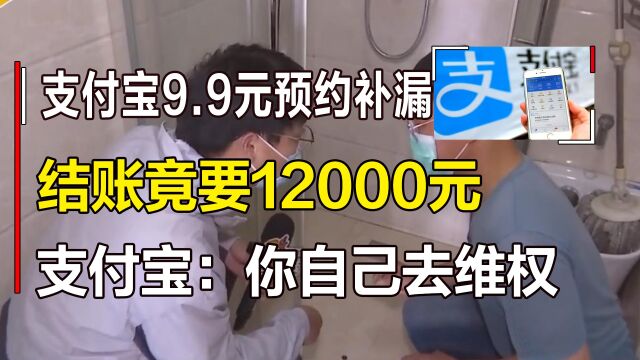 支付宝9.9元预约补漏,结账竟要12000元,支付宝:你自己去维权