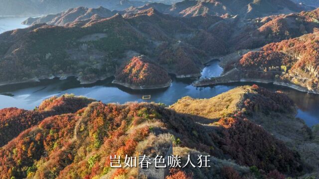 诗意中国|山明水净夜来霜,数树深红出浅黄