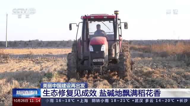 [新闻直播间]美丽中国建设再出发 生态修复见成效 盐碱地飘满稻花香